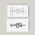 Temporary tattoo snake, sun and moon